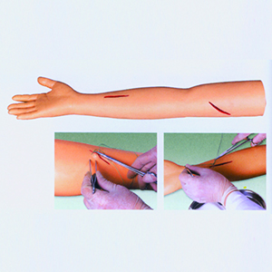 BIX-LF1 Advanced surgical arm suture training model