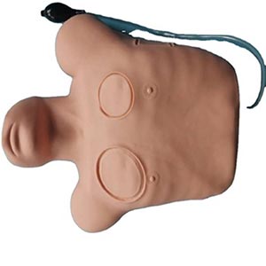 Pneumothorax treatment model