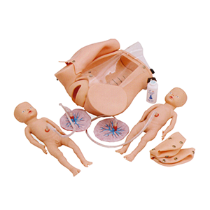 Teaching model of childbirth Mechanism