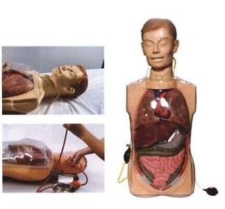 Transparent gastric lavage model, training leaders in a new chapter