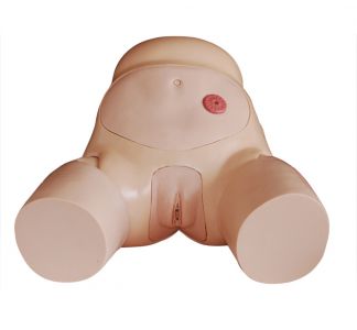 Advanced female catheterization model, a new aid for skill improvement