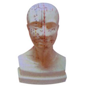Detailed explanation of the four functions of the head acupoint model
