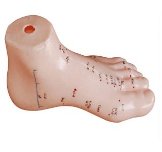 Plantar acupoint acupuncture model: Detailed guide  