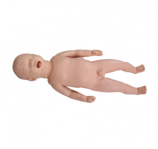 Assessment and care of newborn growth indicators: every step of the guardian angel’s growth