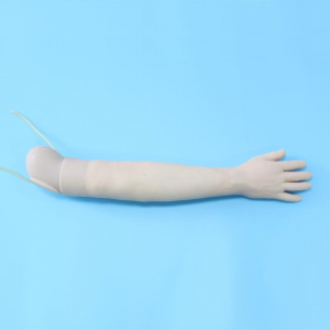 Arm paracentesis model: revolutionizing healthcare training and clinical practice