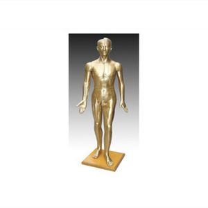  Acupuncture bronze figure: visual acupuncture point model