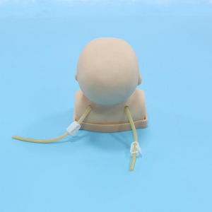 The maintenance method of this infant head venipuncture training model mainly includes the following aspects: