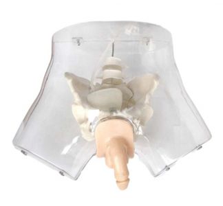  From theory to practice: catheterization model helps improve medical skills