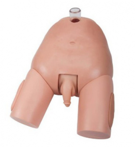 Male catheterization model is a teaching tool used to simulate male catheterization operation.
