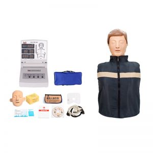 How is the application effect of half body cardiopulmonary resuscitation model in clinical first aid teaching?