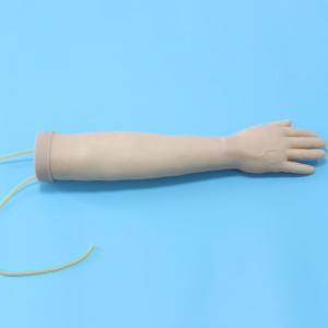 What nursing skills does the arm venipuncture training model play a role in?