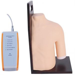 Can the intracavitary injection model support multiple puncture training?