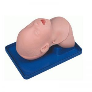 How does the infant Tracheal intubation training Model accurately restore the infant airway anatomy?