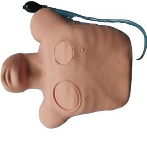  Why is pneumothorax treatment model an essential tool for medical education?