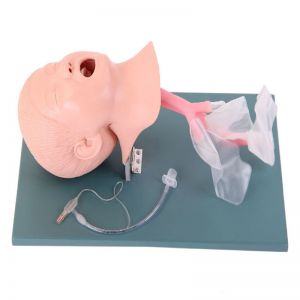 How do children's tracheal intubation skills flow seamlessly from model to clinic?