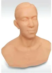  Which acupuncture training methods are supported by acupuncture head training model?