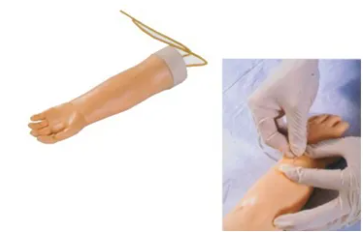 The children's arterial injection model helps leap from theory to practice