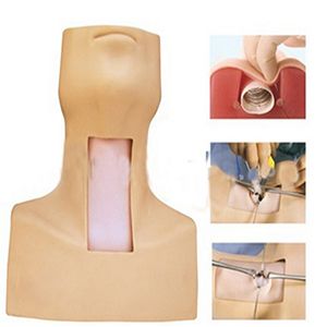 Tracheotomy intubation training model: It is a simulation, but also a rehearsal of actual combat
