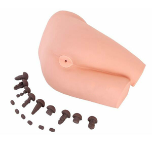 Surgical Models for rectal examination: A Necessity for Medical Education?