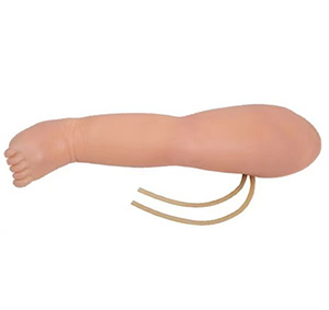 How does leg venipentesis model shorten the adaptation period of medical staff?