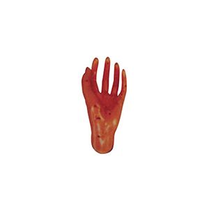 Hand acupuncture model: Do you really understand its teaching value?