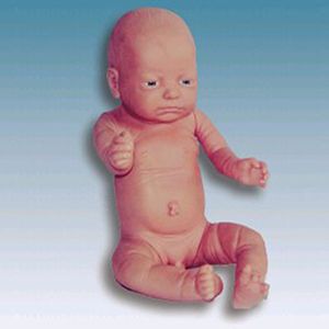 Why medical education is inseparable from the Birth Model?