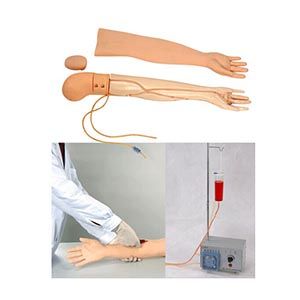 Can the venipuncture Infusion arm model help beginners quickly master operational skills?