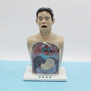 Transparent gastric lavage model, how does it change the learning experience?