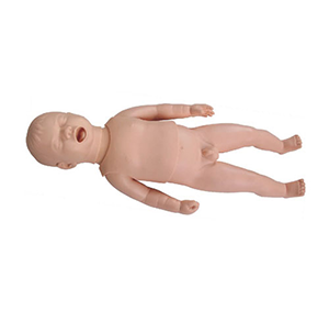 24 week preterm baby model: Can we accurately simulate the care needs of preterm babies?