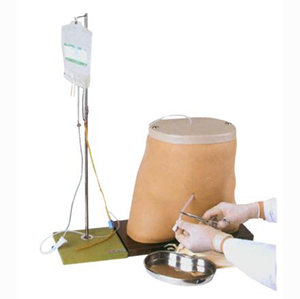 Do laminating dialysis models meet the high standards of modern dialysis care education?