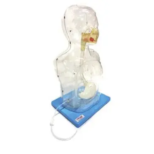 Children multifunctional clear nasal feeding and gastric lavage model: Can it effectively improve the practical ability of students? 