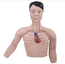 What problems does the PICC intervention training model solve