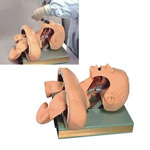 The success criteria for advanced tracheal intubation training models