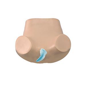 The role of gynecological training models