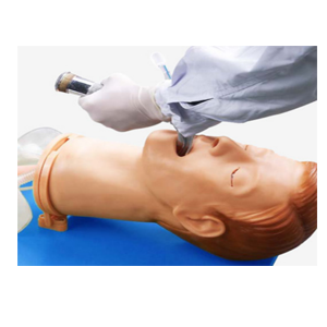 The significance of the multi-functional airway management model