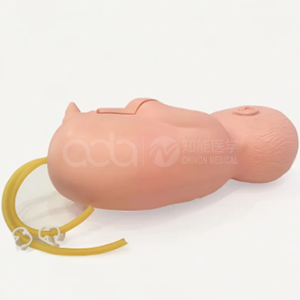 The significance of the lumbar puncture model for newborns